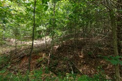 property photo for Springlake Plat 5 Tract 325, 0.2 acres for sale in Miller County, Missouri