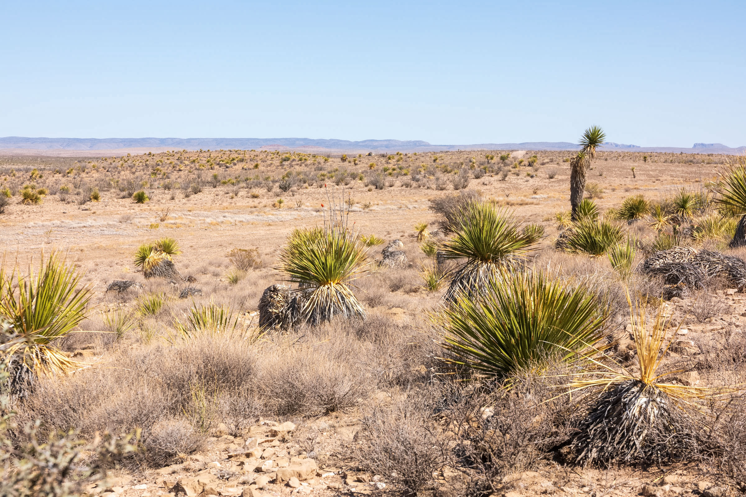 Tract 105 at Sunrise Ranches Phase III in Hudspeth County, Texas