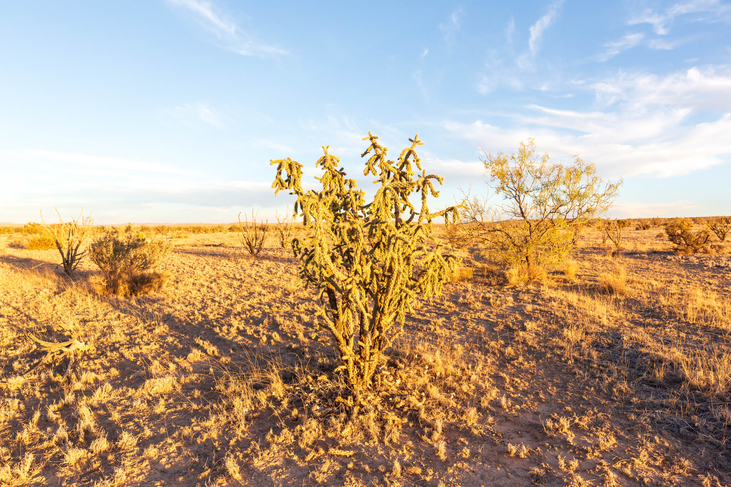 Tract 137 at Sunrise Ranches Phase III in Hudspeth County, Texas